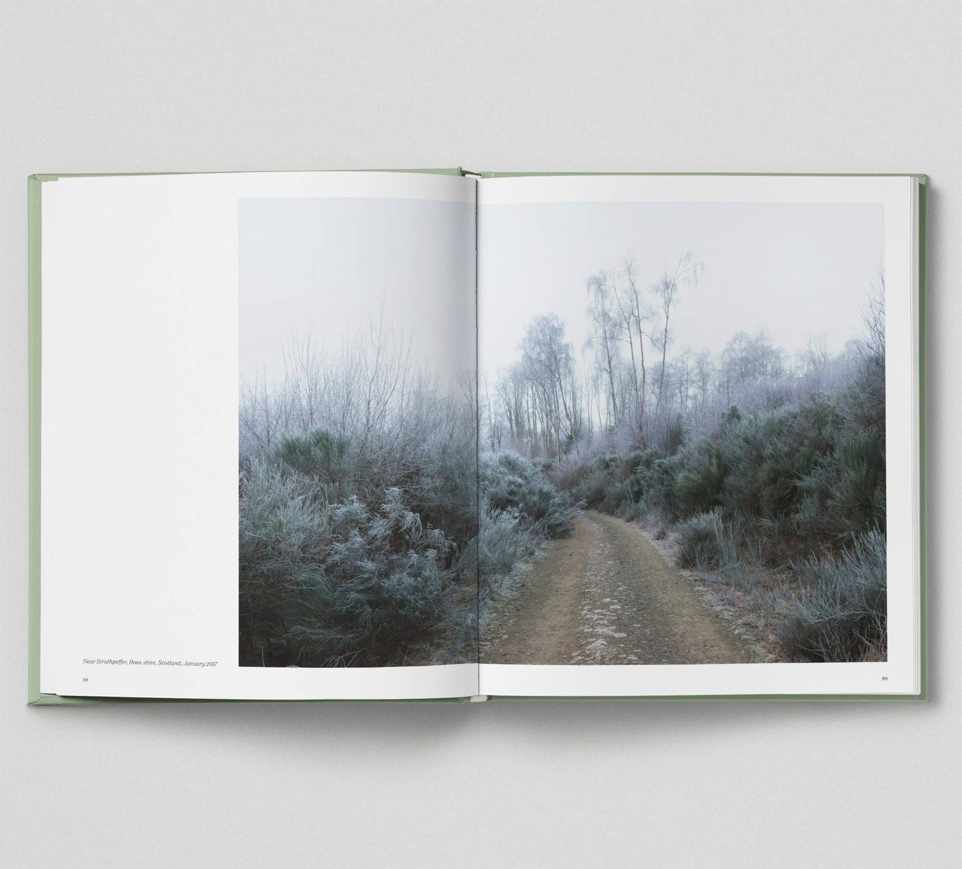Open book showing a photograph of a misty forest path on a white background