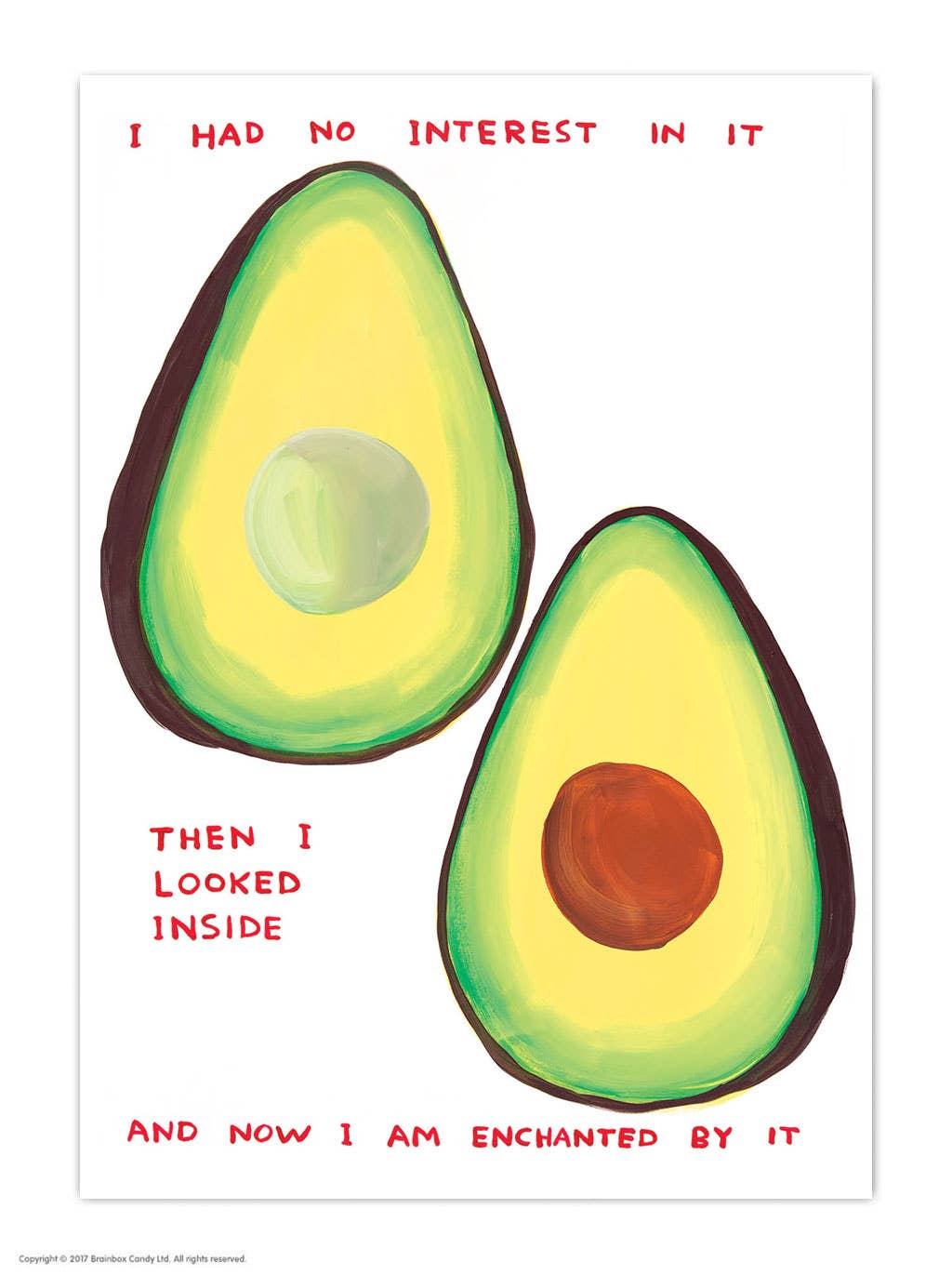 Funny A6 Art Postcard By David Shrigley - Enchanted Avocado