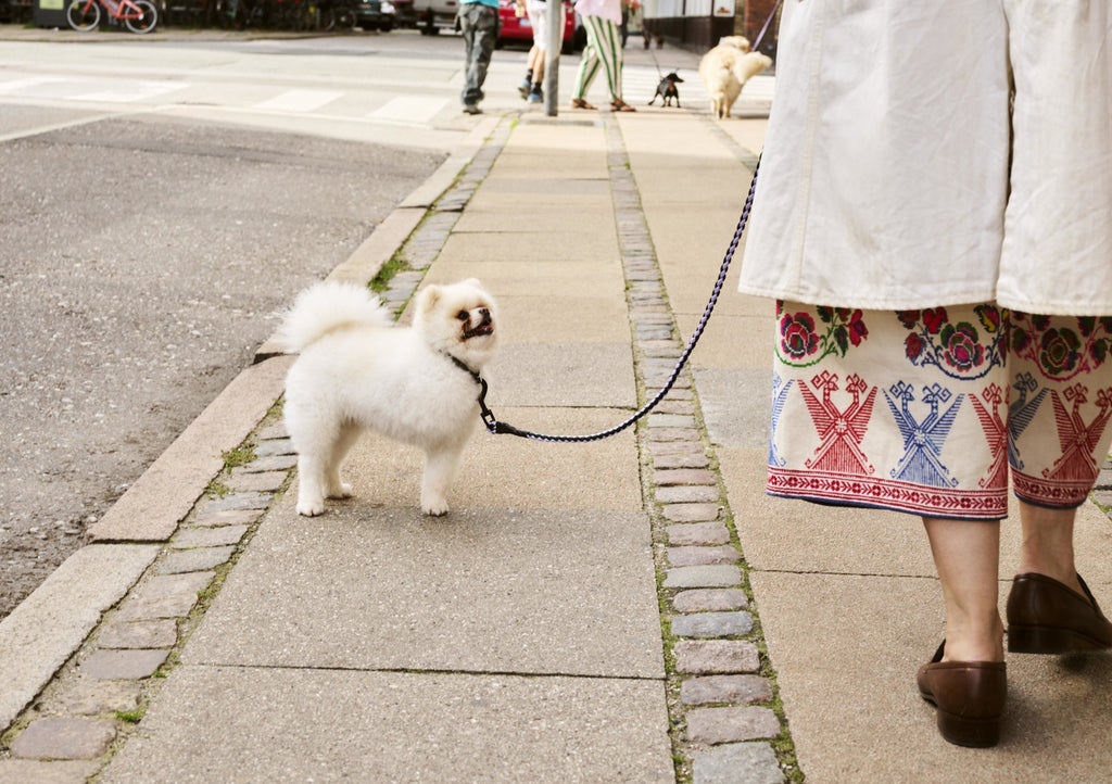 HAY Braided Dog's Leash M/L