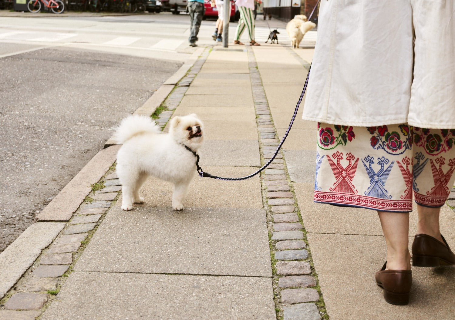 HAY Braided Dog's Leash M/L