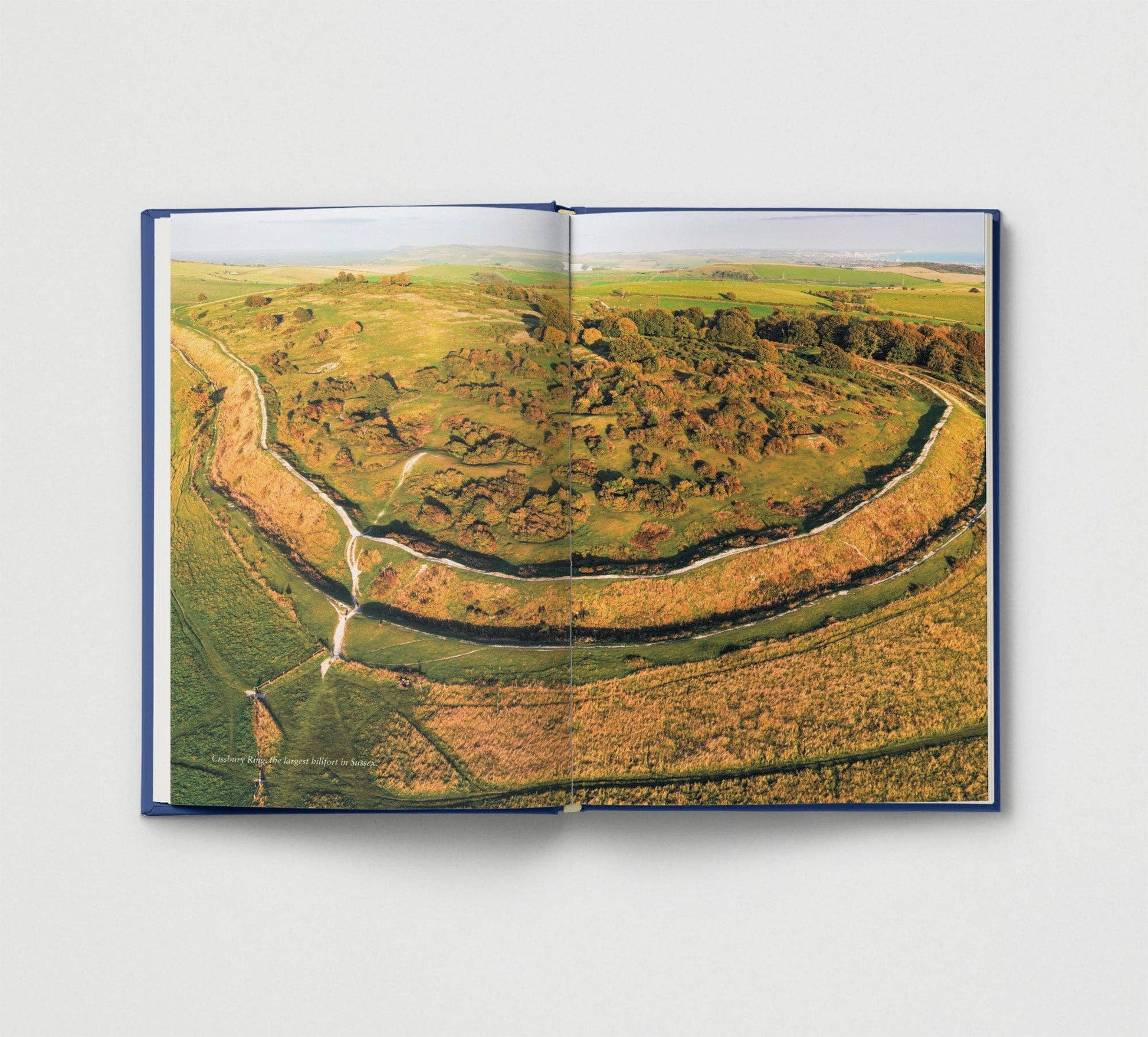 Open book showing an aerial view of a circular earthwork in a field.