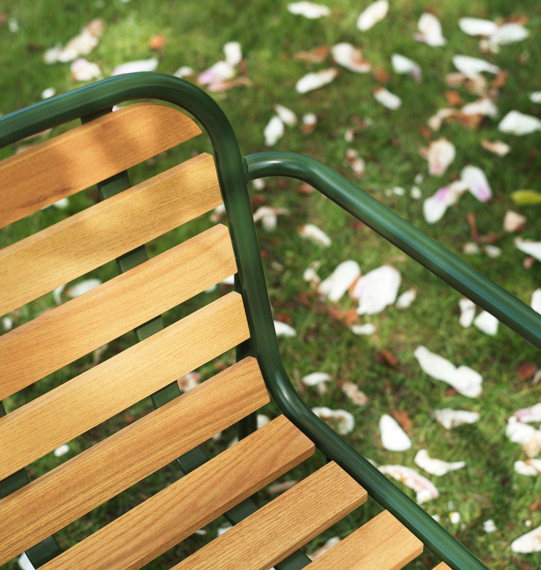 Vig Armchair Robinia Wood