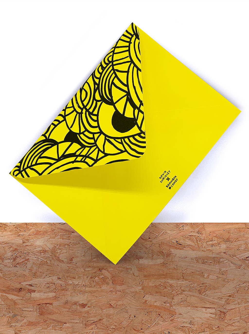 Funny Greetings Card By David Shrigley - Cat Master