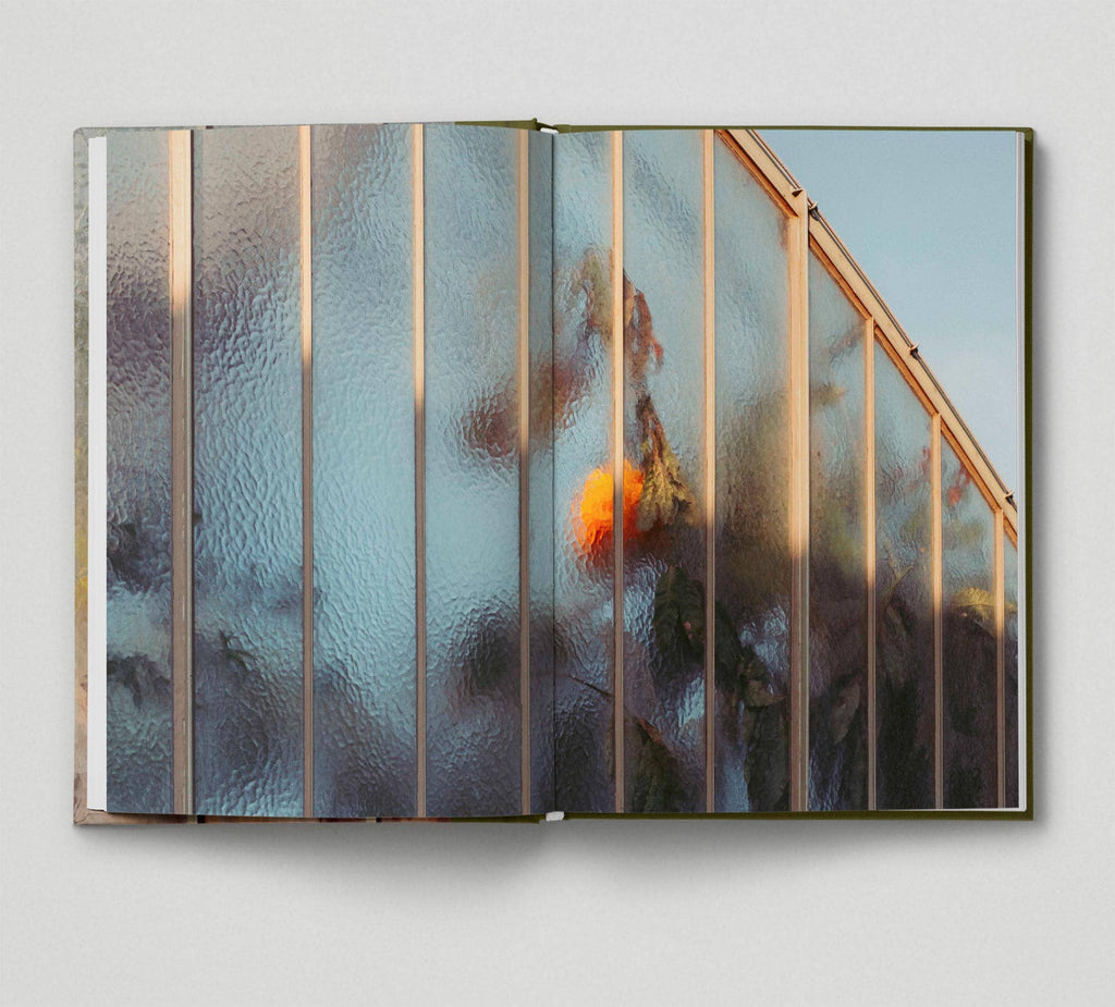 Botanical (Book 6: Tales from the City)