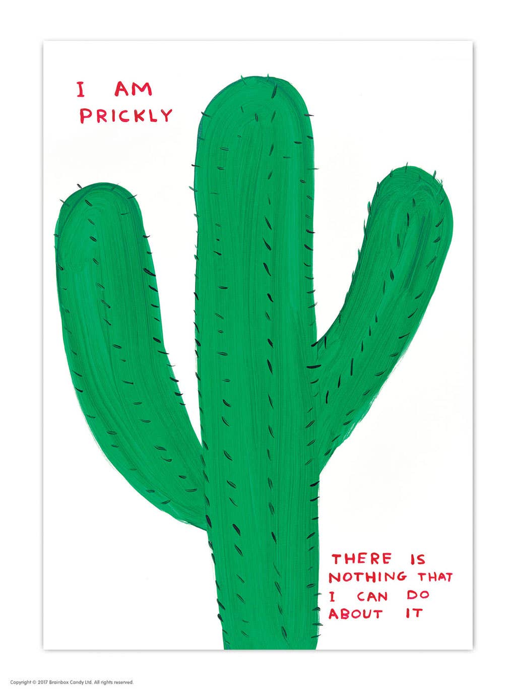 Funny A6 Art Postcard By David Shrigley - I Am Prickly