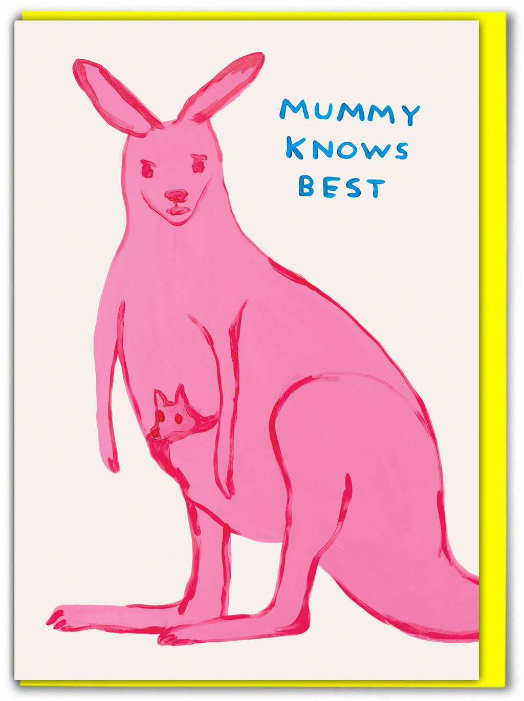 Funny Greetings Card - Mummy Know's Best by David Shrigley