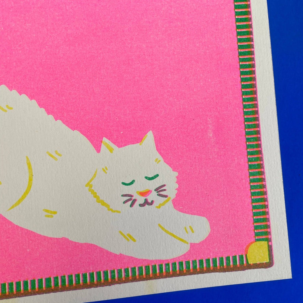 Picture of cat stretching on pink background