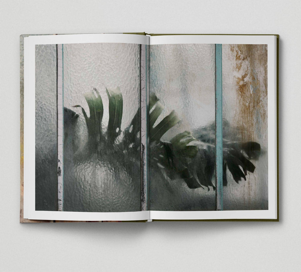 Botanical (Book 6: Tales from the City)