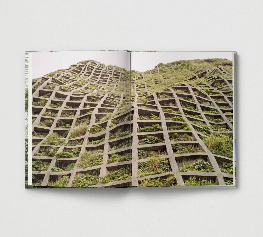 Open book showing a geometric pattern of stone and greenery on a white background