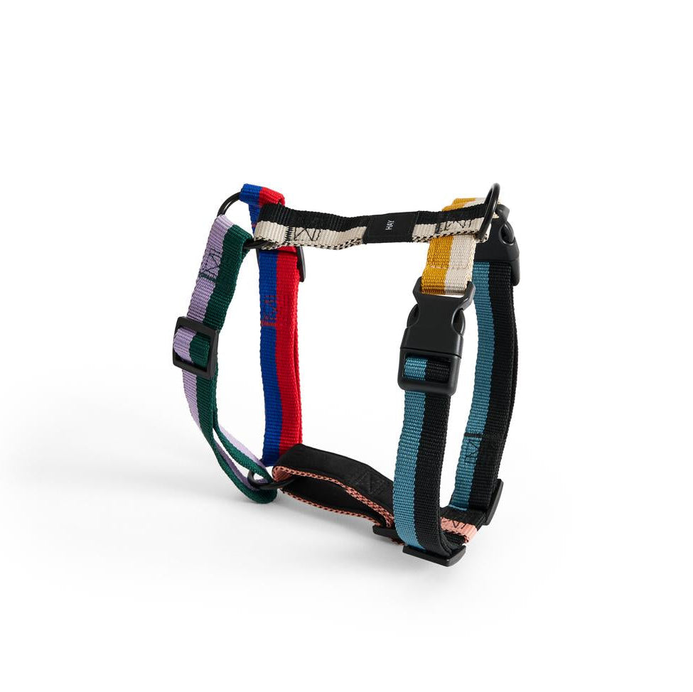 Multicolored dog harness on a white background