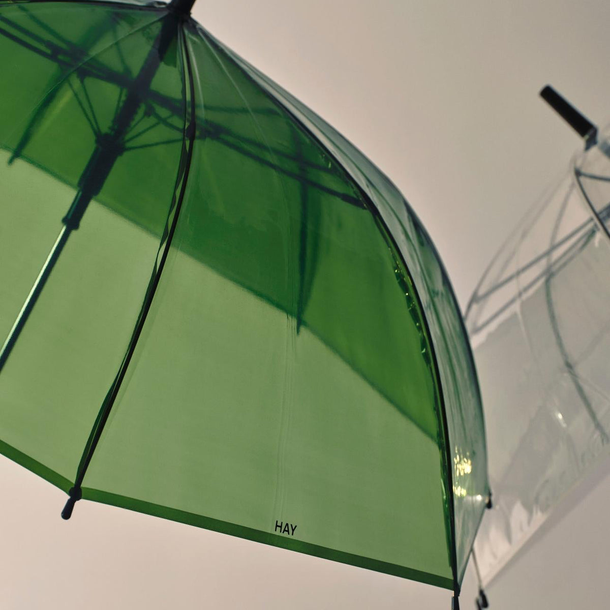 Canopy Umbrella