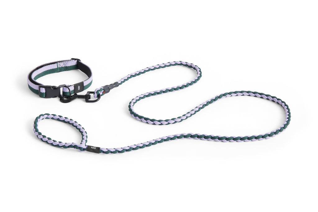 Dog collar and leash set with braided design on a white background