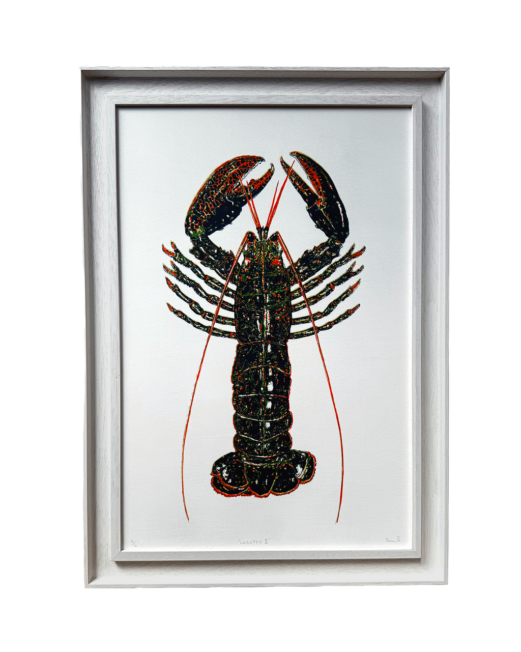 'Lobster' 13 Colour Screen Print by Jason Davies