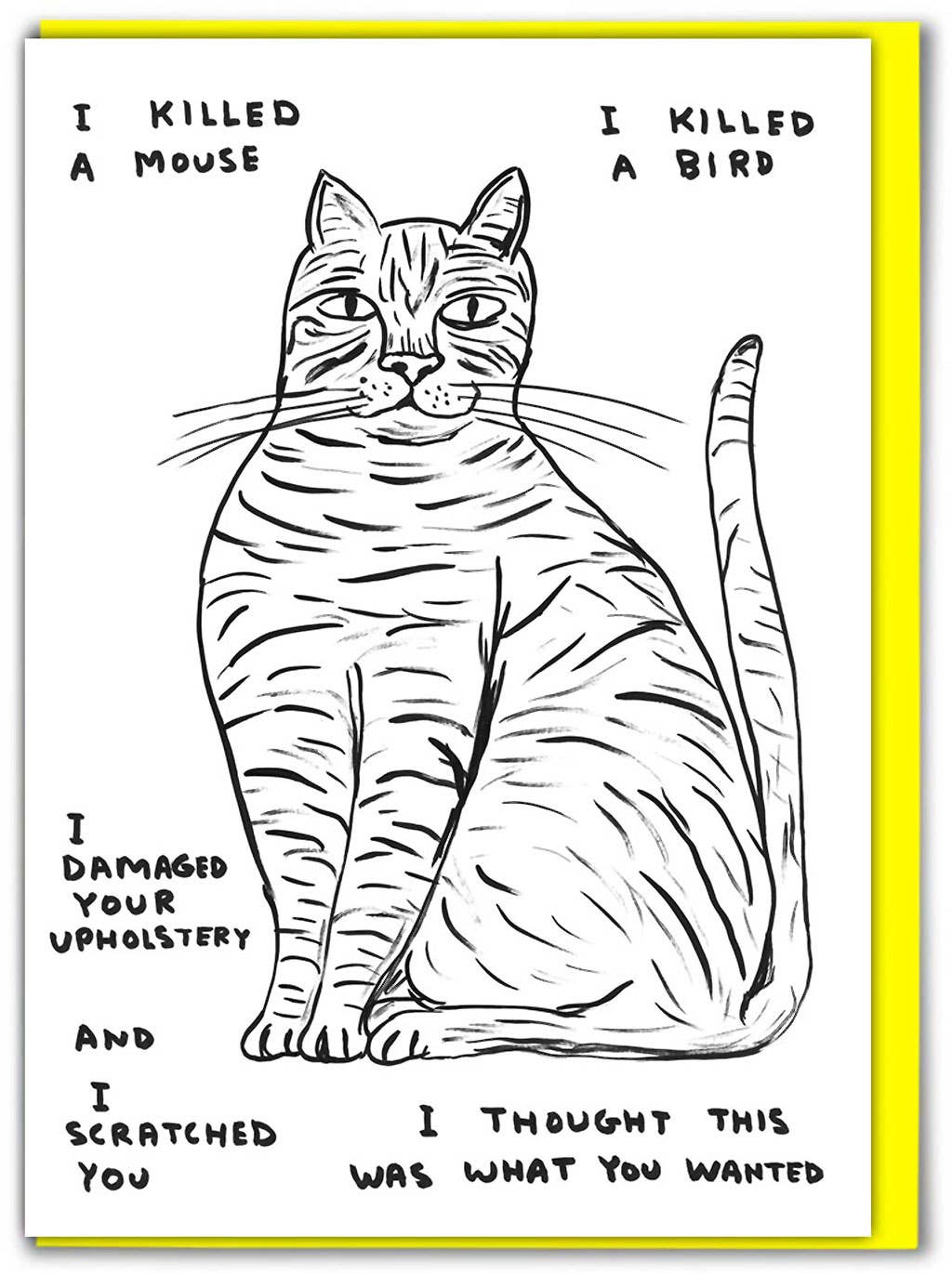 Funny Greetings Card By David Shrigley - I Killed A Mouse