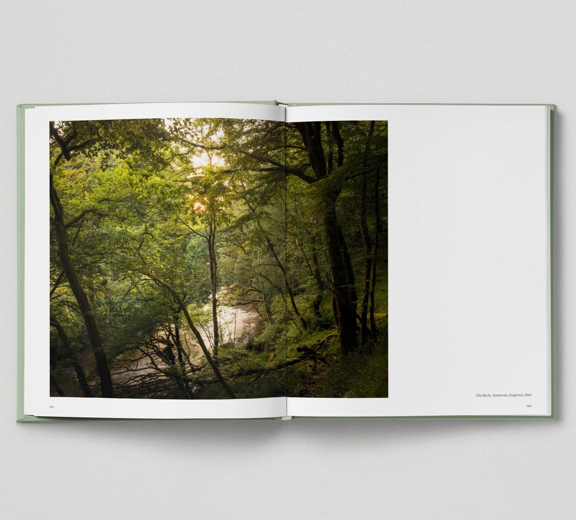 Open book showing a photograph of a forest with a stream on a light gray background